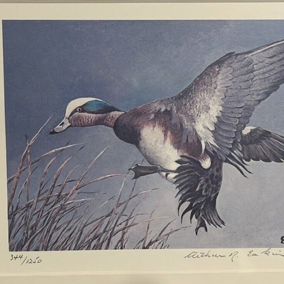 Maryland Migratory Duck Stamp Print "FLARING WIDGEON" Arthur Eakin 1981 #344 - Picture 3 of 10